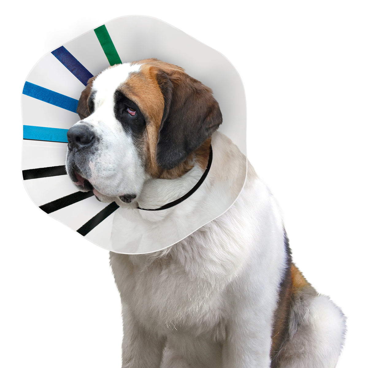KONG® E-Collar EZ Clear™ Large