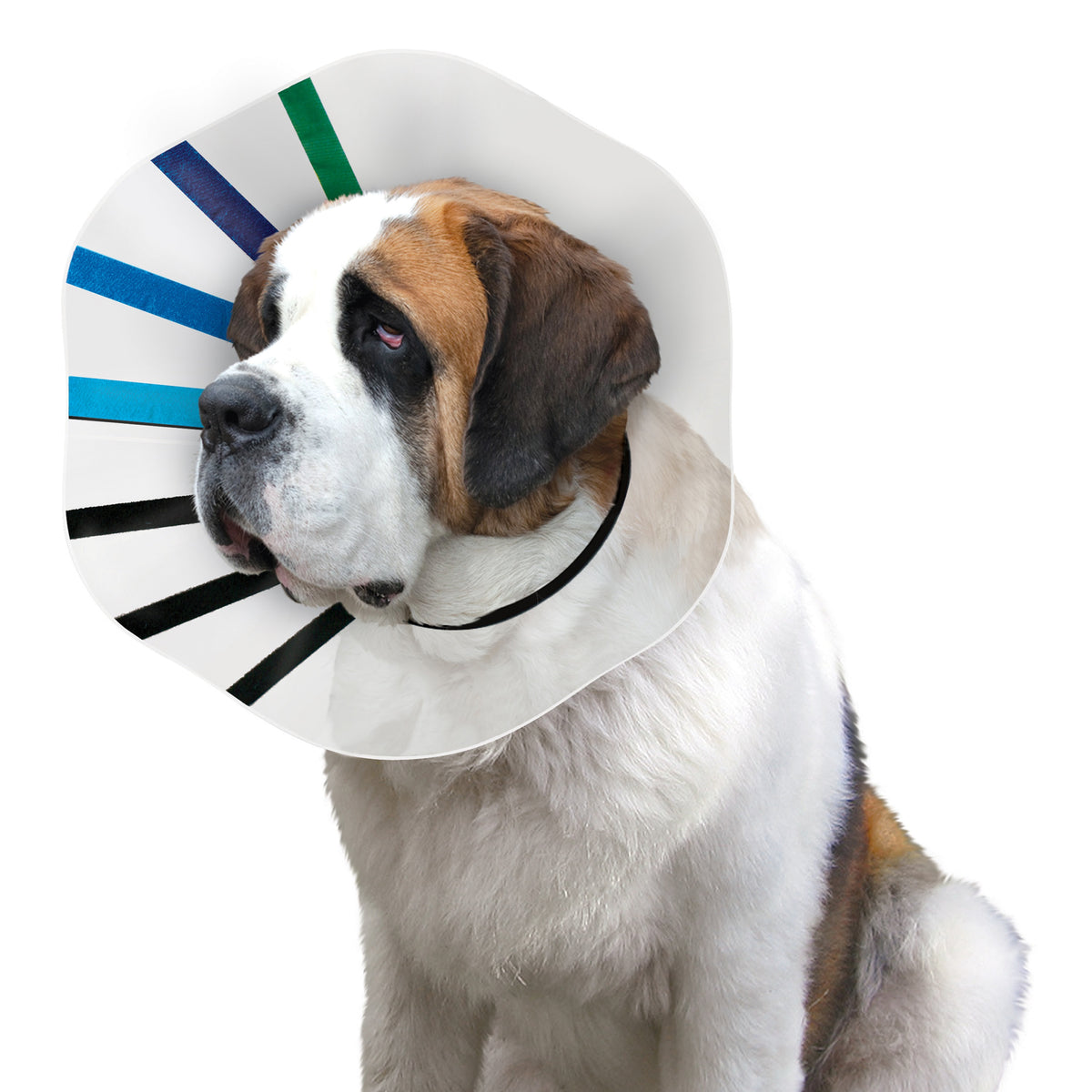 KONG® E-Collar EZ Clear™ Medium
