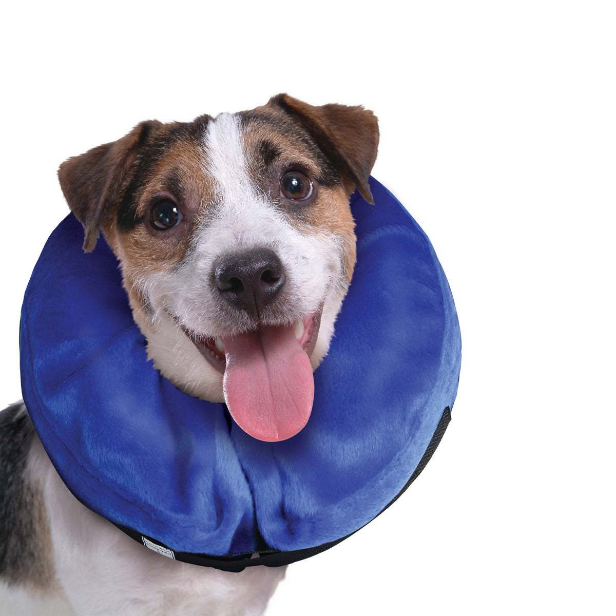 KONG® E-Collar Cloud® Medium