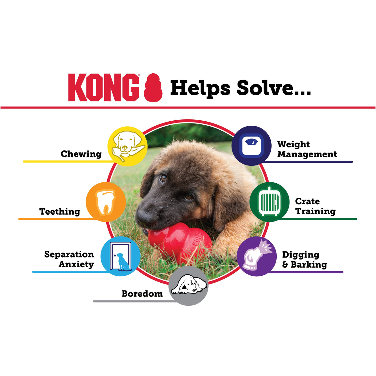 KONG® Senior Dog Chew Toy Medium