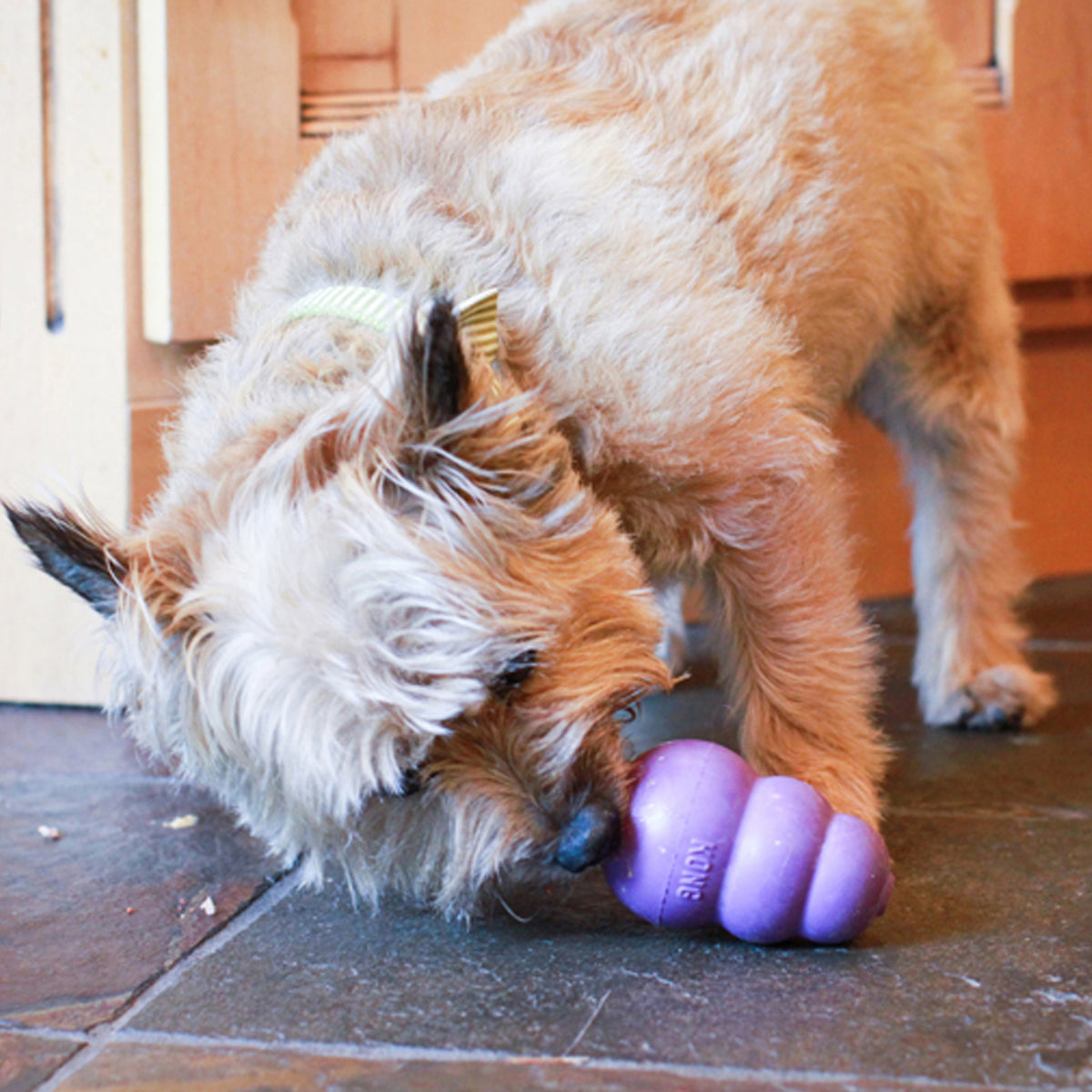 KONG® Senior Dog Chew Toy Medium