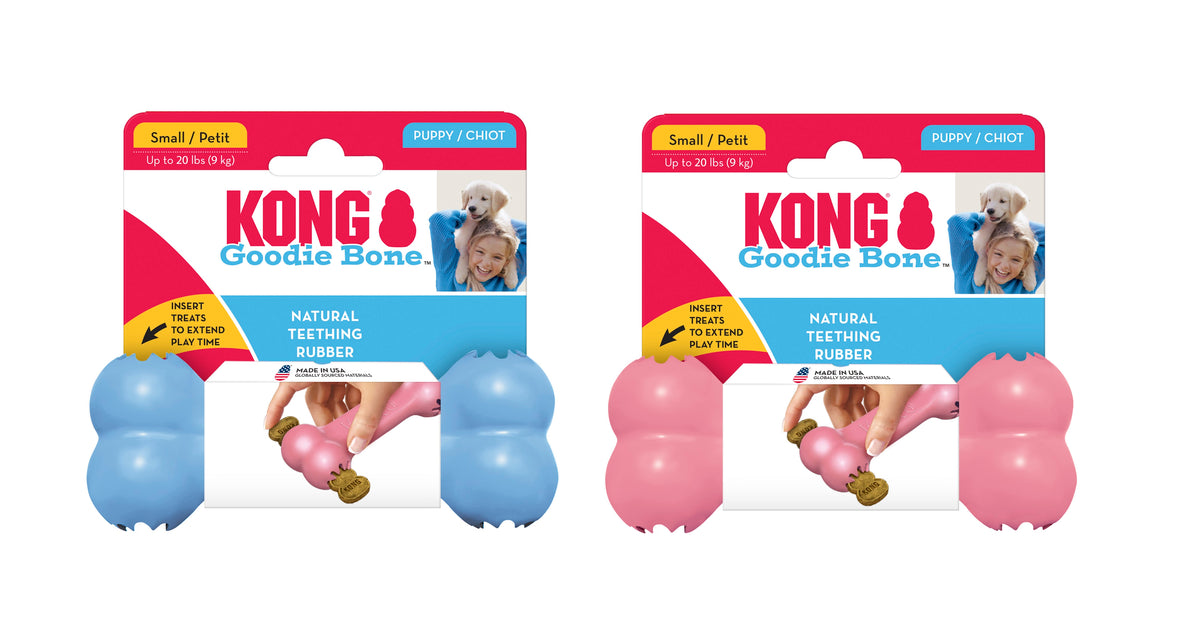 KONG® Puppy Goodie Bone® Chew Toy Small