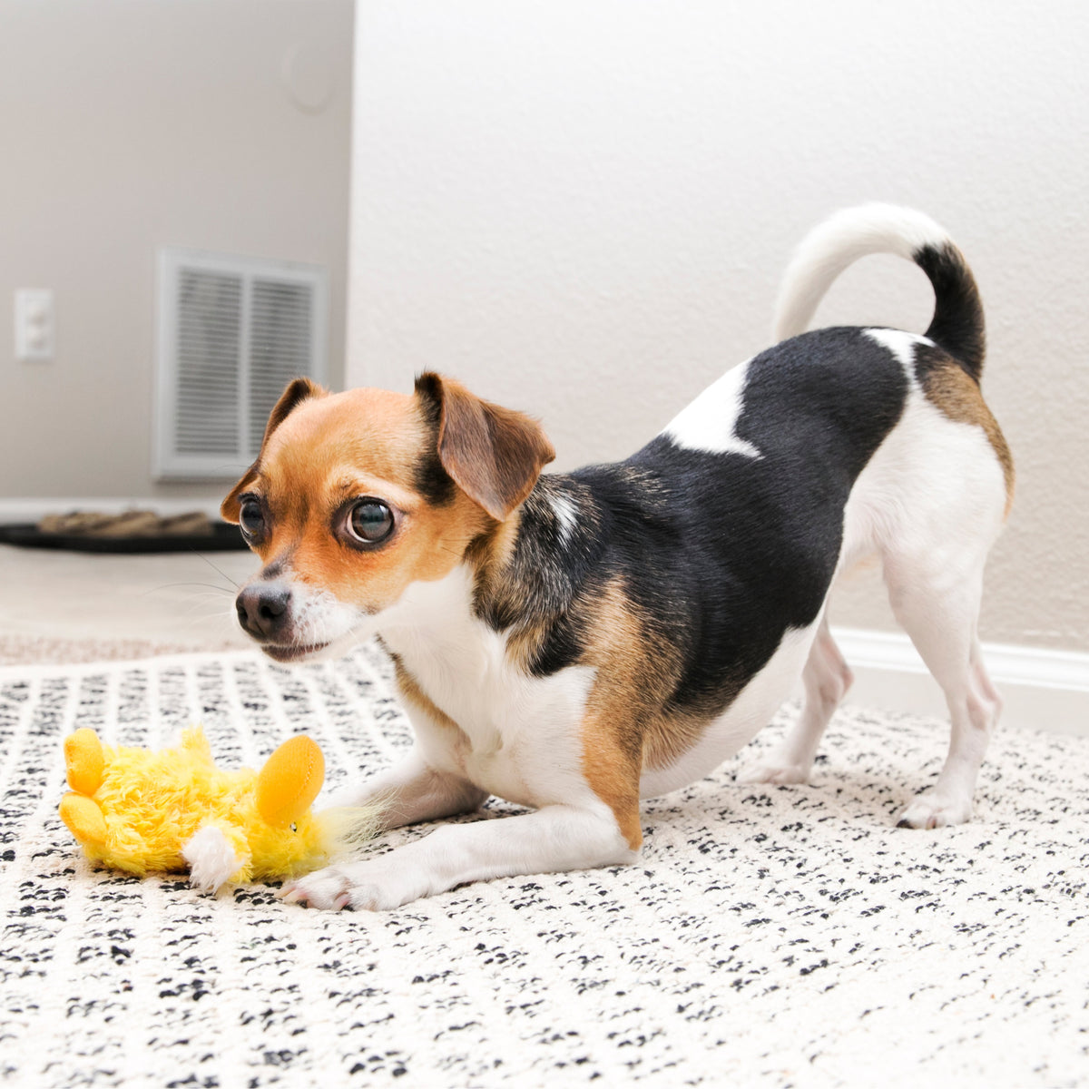 KONG® Dr. Noyz Duck Plush Dog Toy XS
