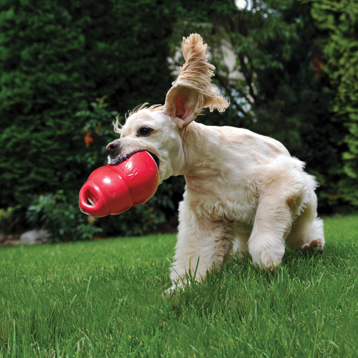 KONG® Bounzer® Dog Fetch Toy Medium