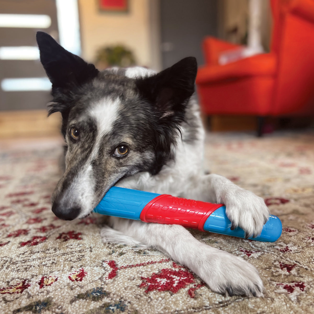 KONG® CoreStrength™ Rattlez Ball Dog Chew Toy Large