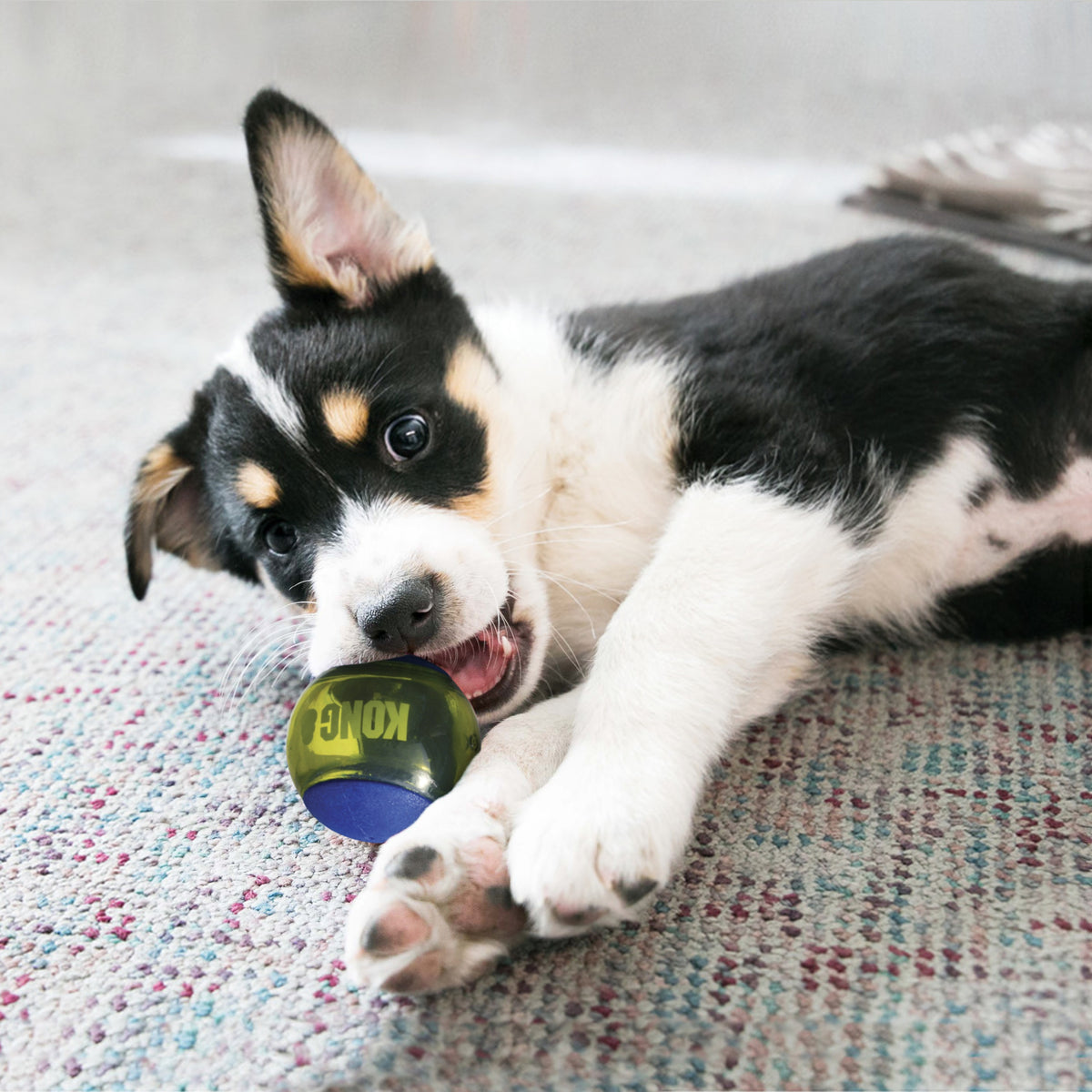 KONG® Squeezz Action Ball Dog Chew Toy Blue Medium