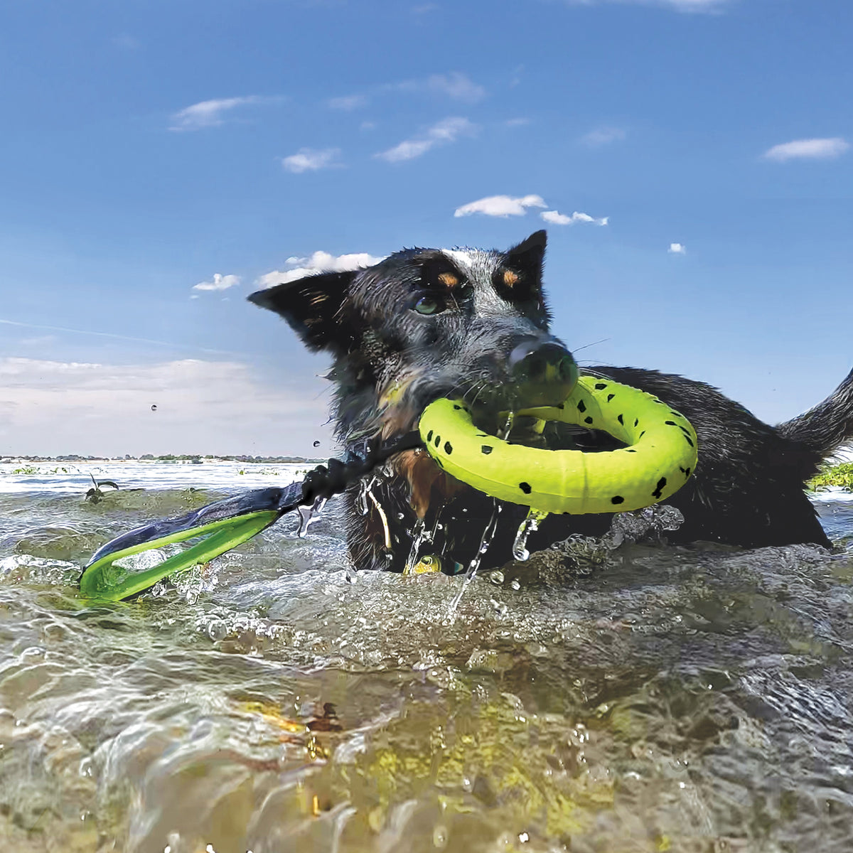 KONG® Reflex Tug Toy
