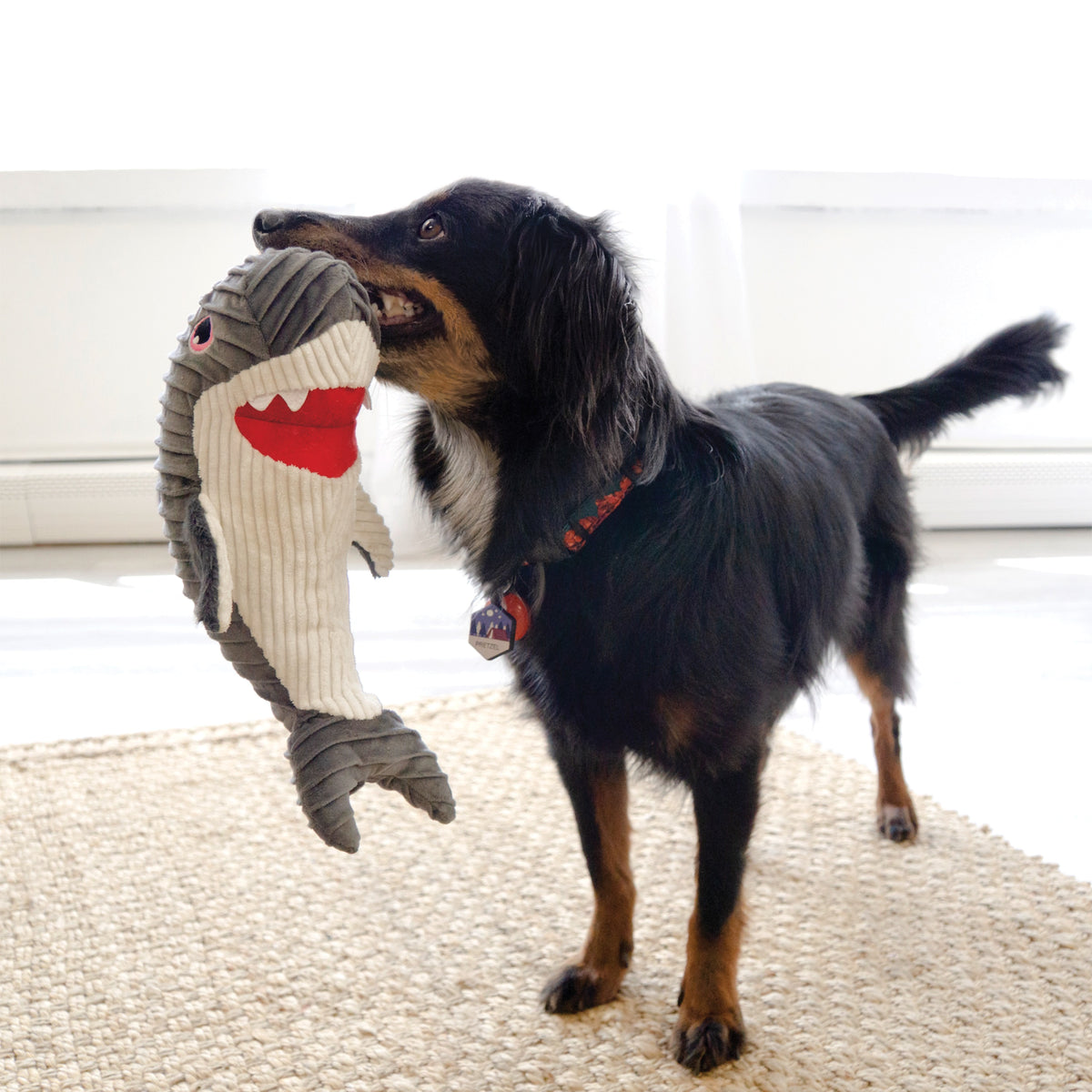 KONG® Cuteseas® Rufflez Shark Dog Plush Toy Medium/Large