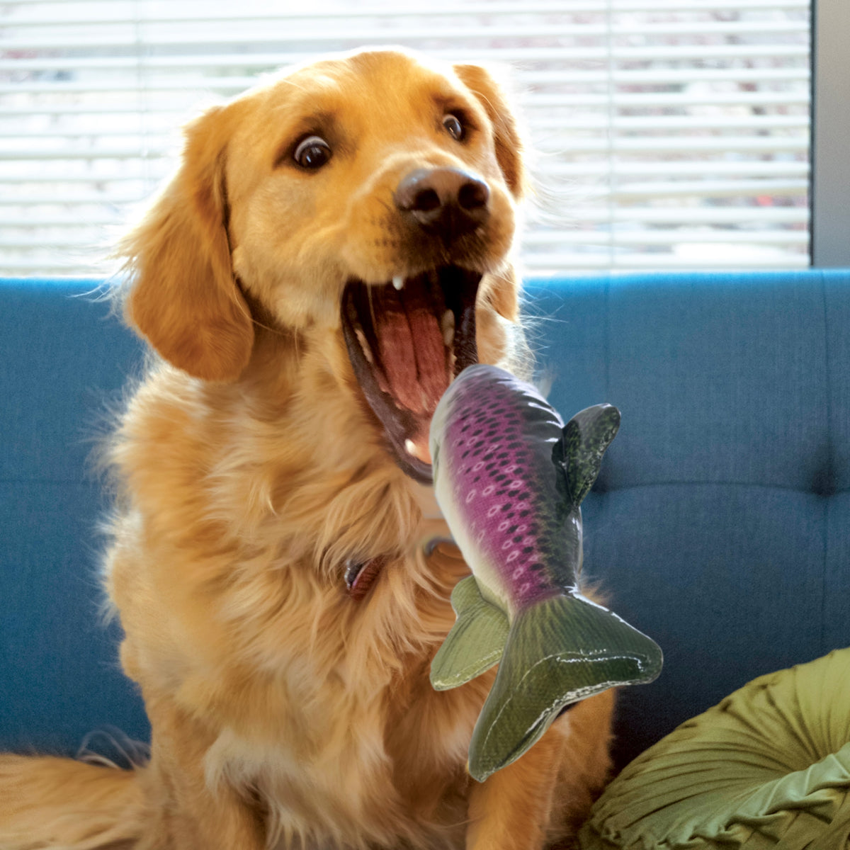 KONG® Wild Shieldz Trout Dog Chew Toy Medium