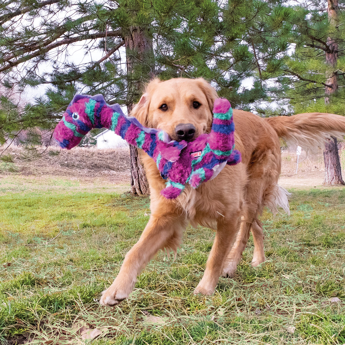 KONG® Shakers™ Honkers Dragon Dog Plush Toy Large