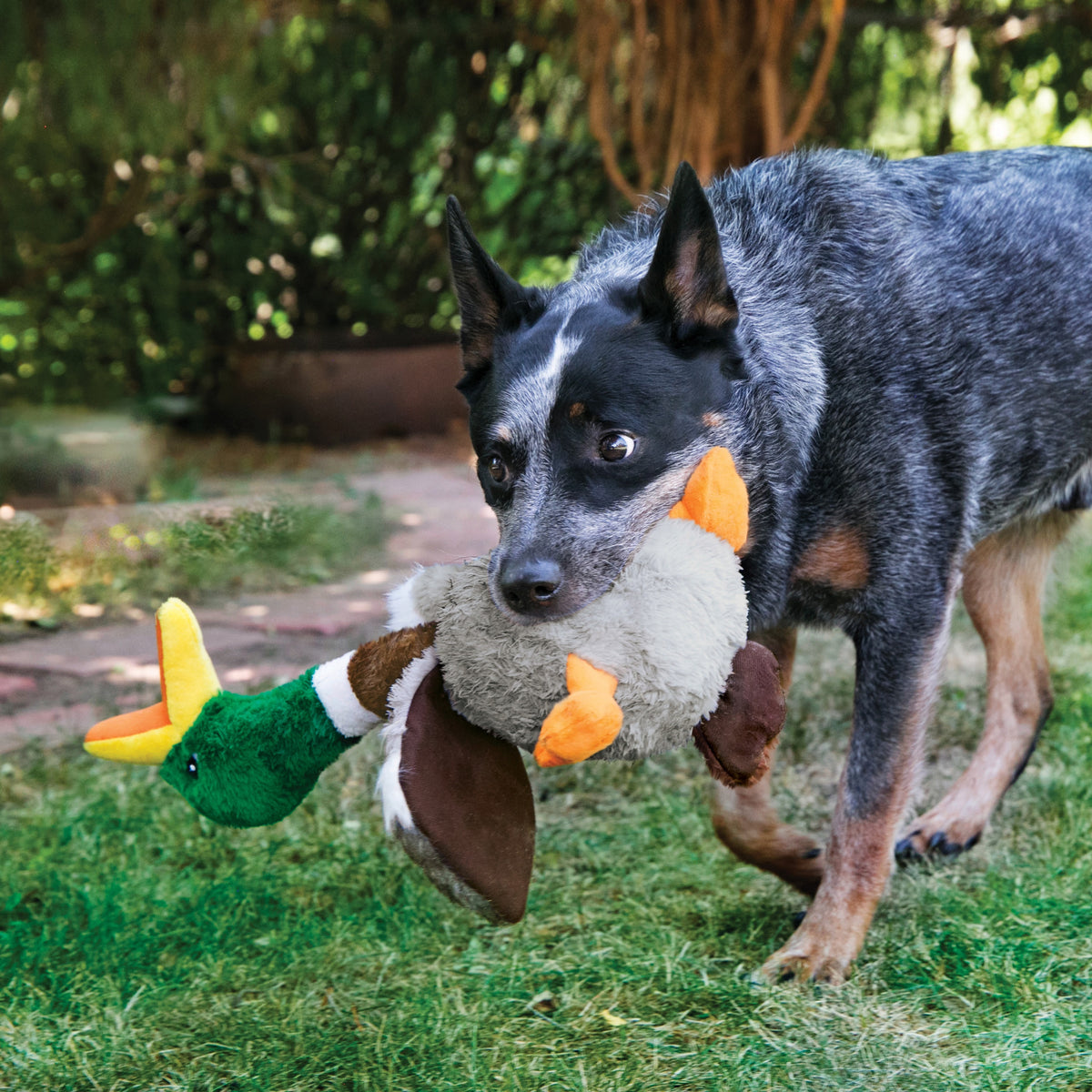 KONG® Shakers™ Honkers Duck Dog Plush Toy Small
