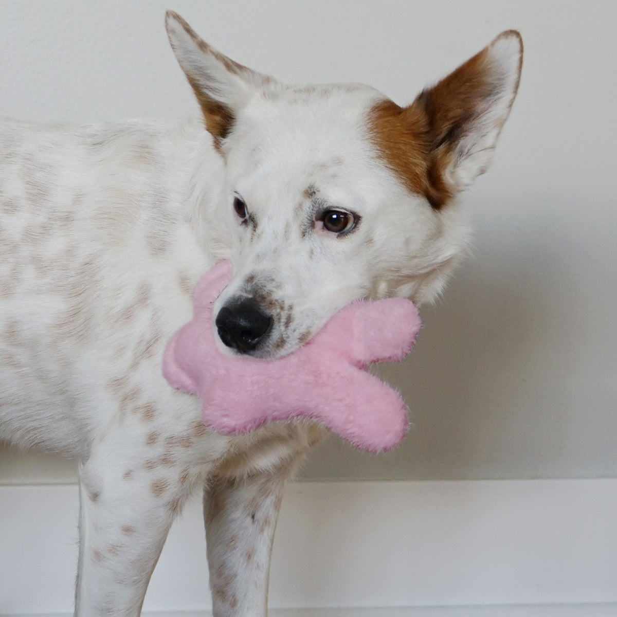 KONG® Snuzzles Kiddos Bunny Dog Plush Toy Small