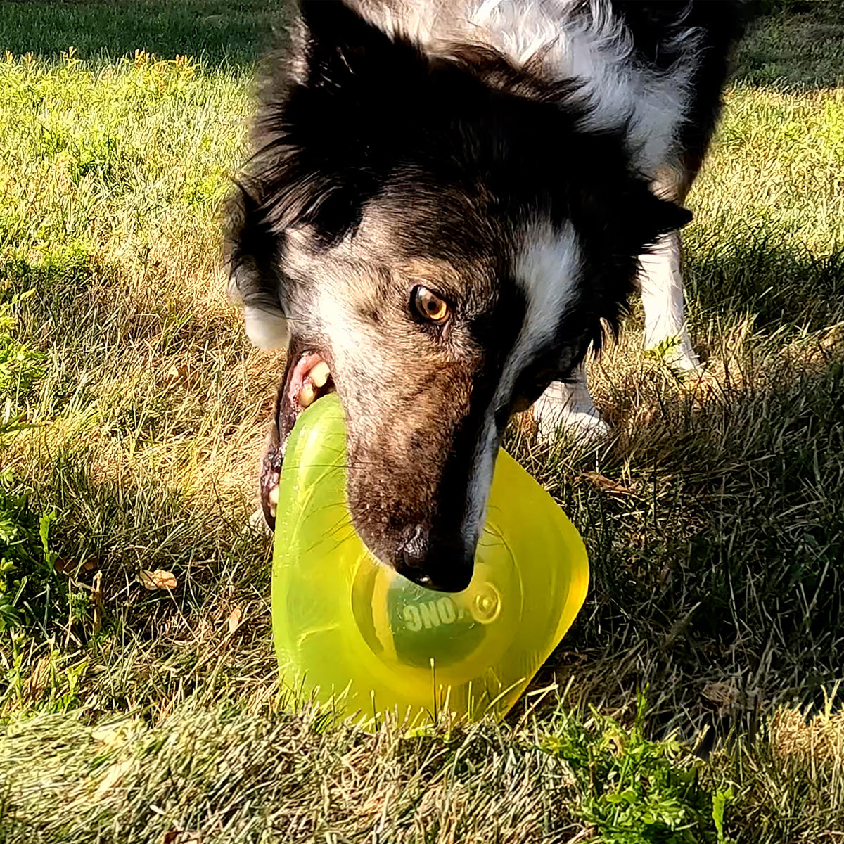 KONG® Jumbler™ Flinger Dog Enrichment Toy Assorted Small/Medium