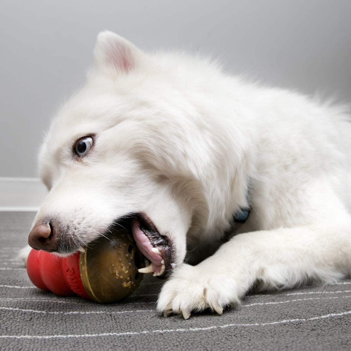 KONG® Marathon® Peanut Butter Large 2pk