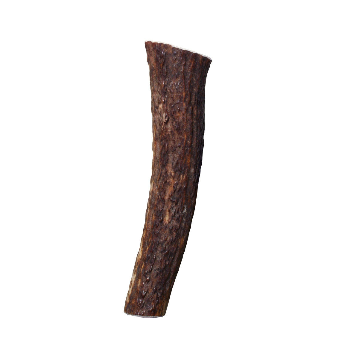 KONG® Wild Antler Whole Large