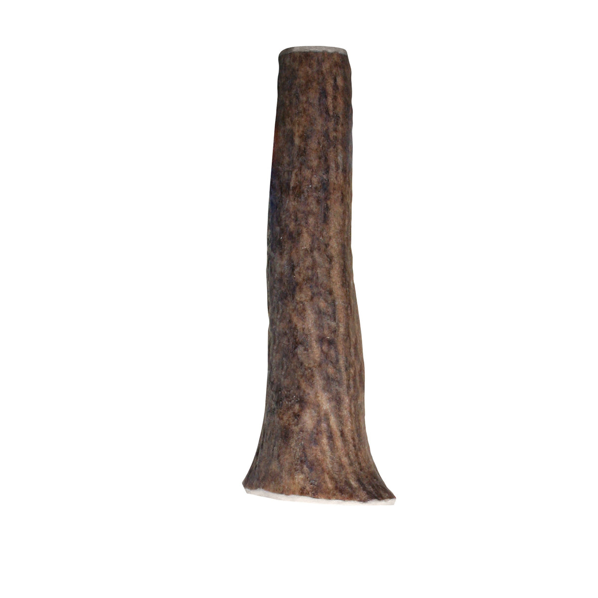KONG® Wild Antler Whole Small