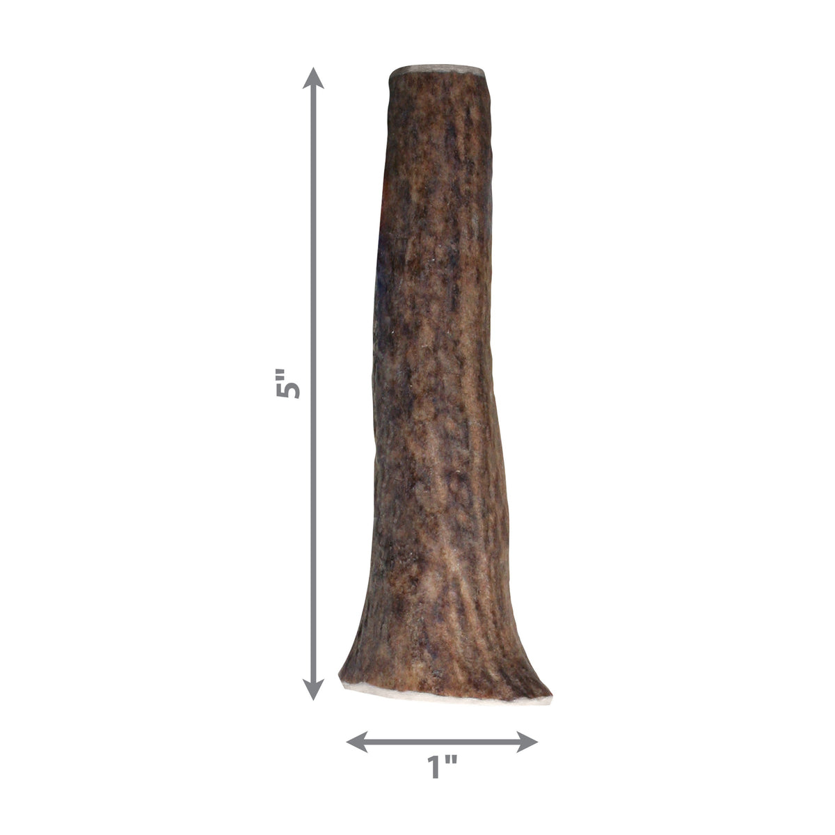 KONG® Wild Antler Whole Small