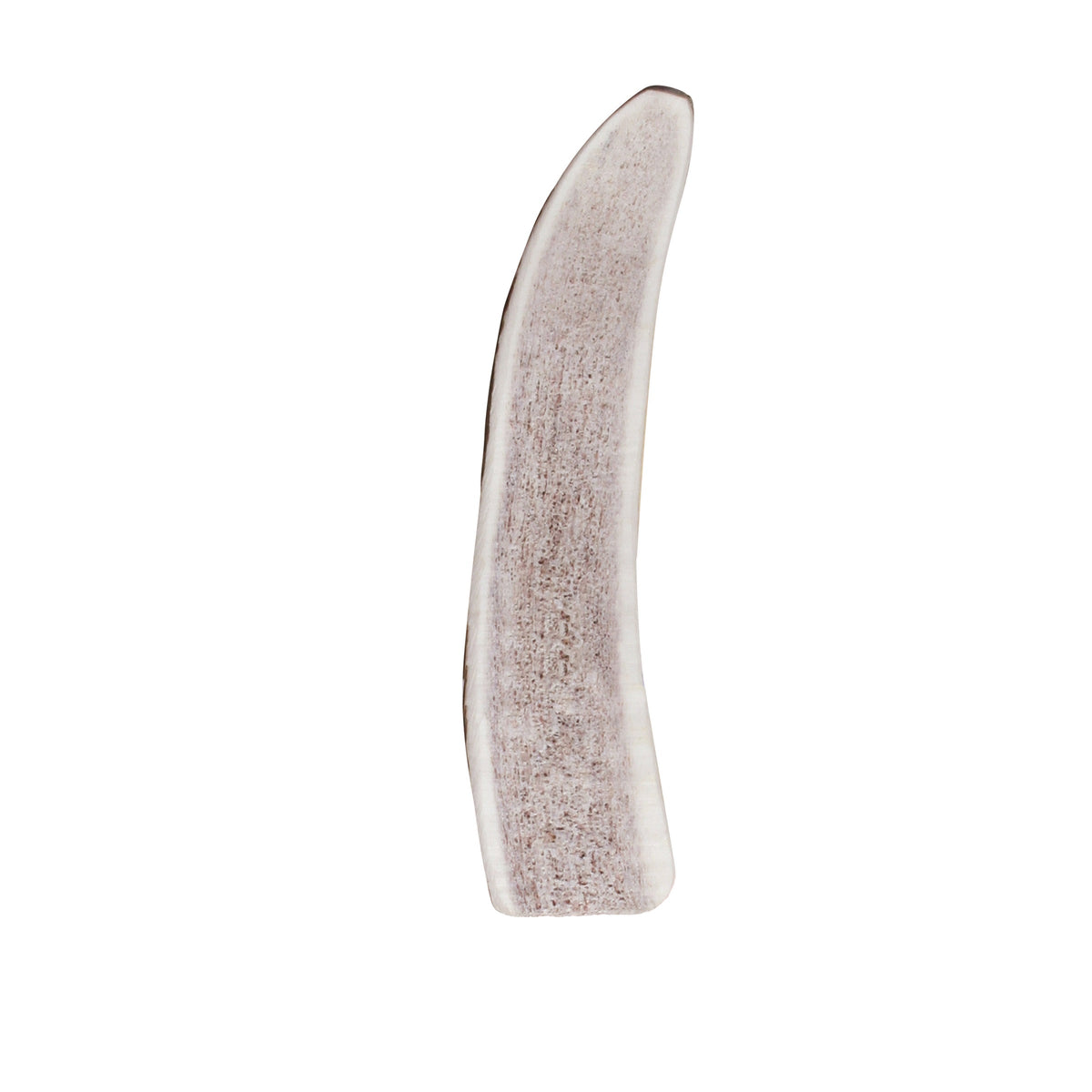 KONG® Wild Antler Split Small