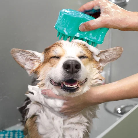 KONG® ZoomGroom® Bubbles Large