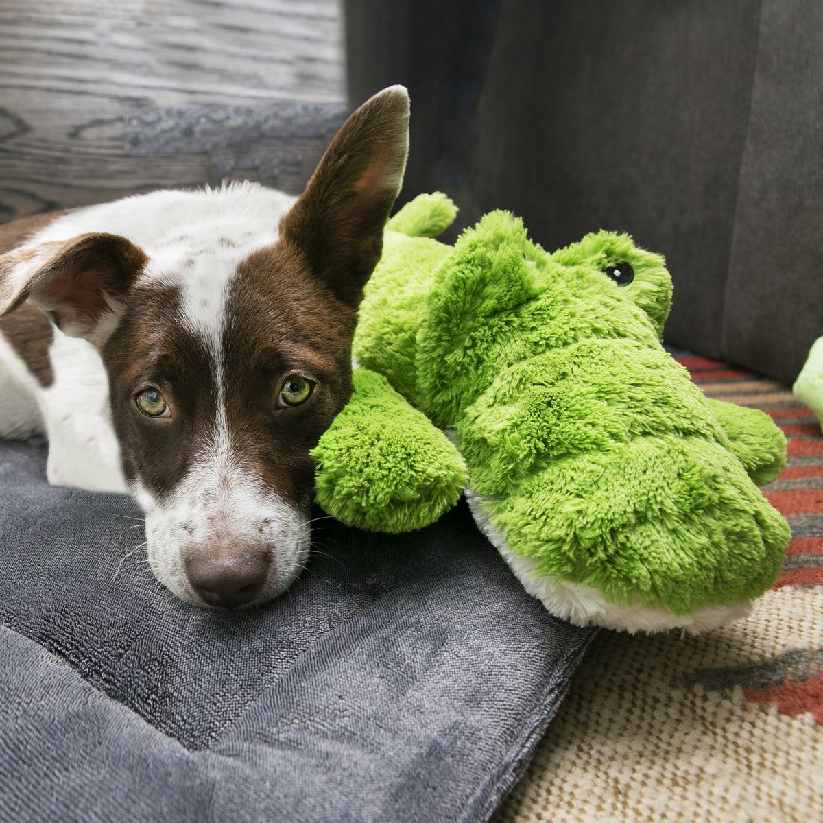 KONG® Cozie™ Jumbo Ali XL