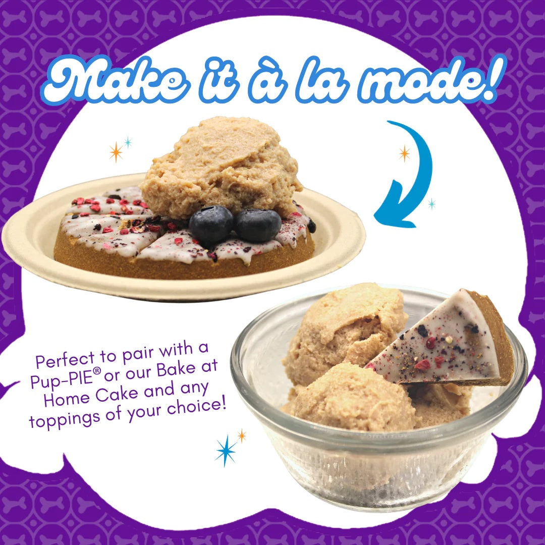 Lazy Dog Make at Home Birthday Ice Cream Mix w/Sprinkles Dog Treat 4.5oz