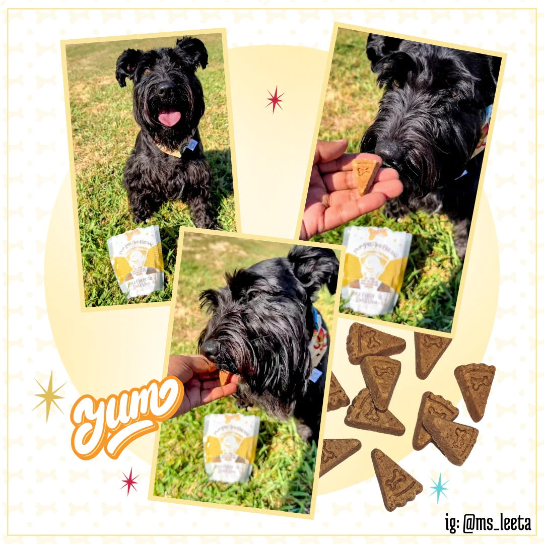 Lazy Dog Pup-PIE & Ice Cream Slices Apple Cheddar w/ Maple & Vanilla Dog Treat 5oz