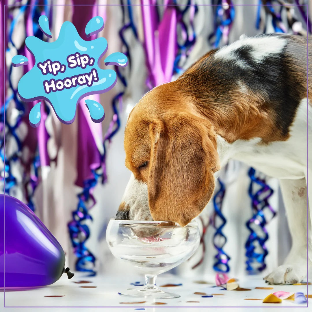 Lazy Dog Pup-POP® Birthday Water Vanilla Cake Flavor Case of 4