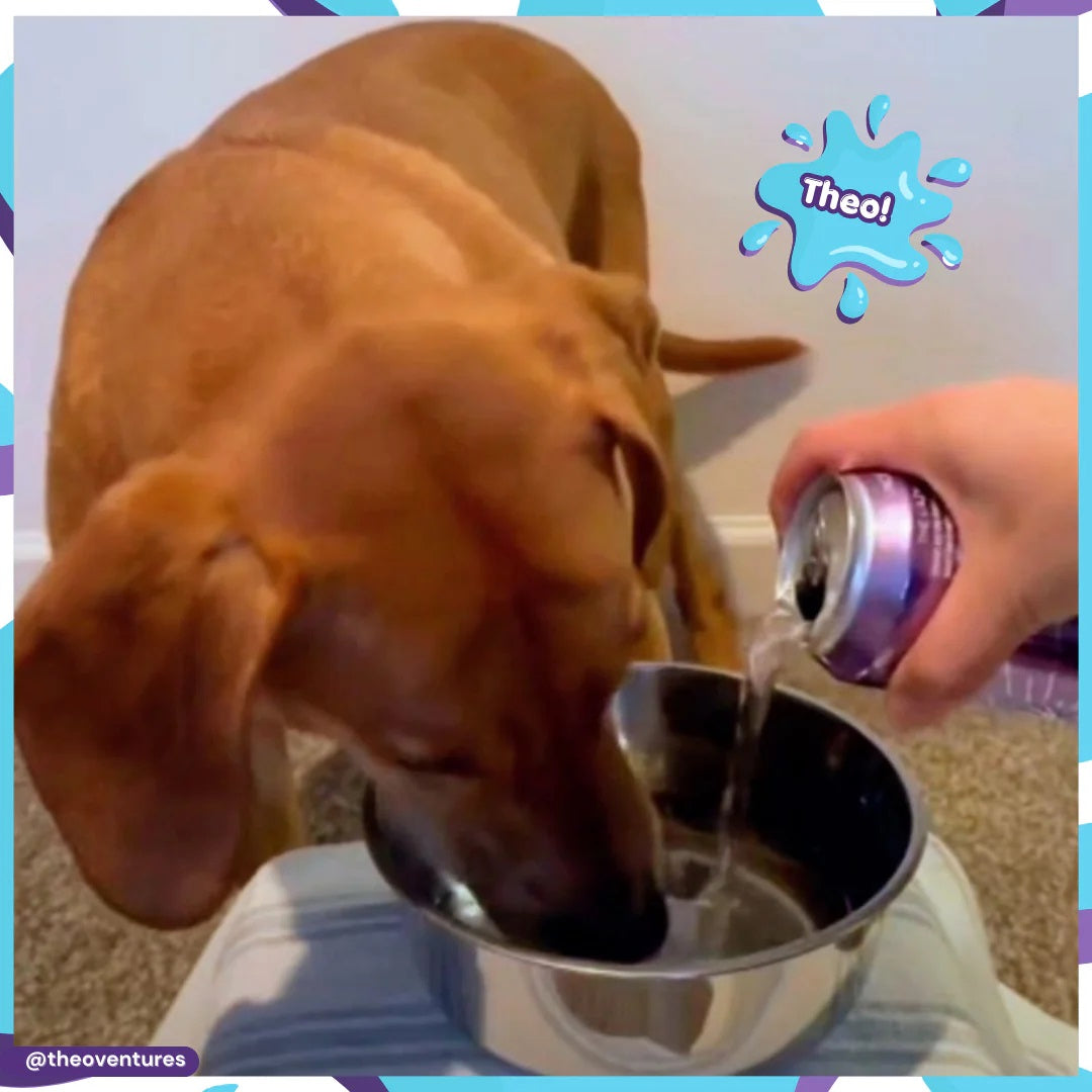 Lazy Dog Pup-POP® Birthday Water Vanilla Cake Flavor Case of 4