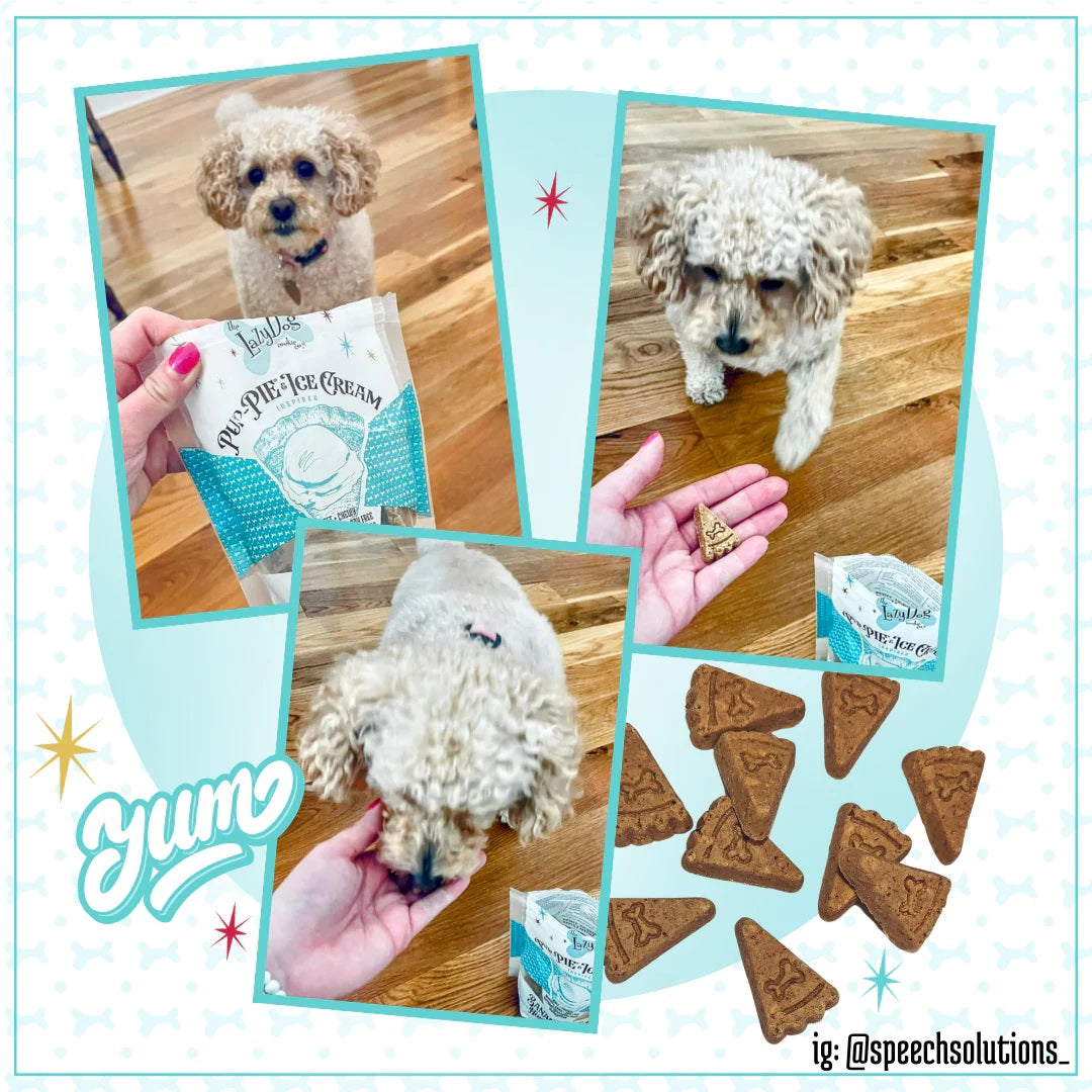 Lazy Dog Pup-PIE & Ice Cream Slices Banana Nut w/ Honey & Bacon Dog Treat 5oz