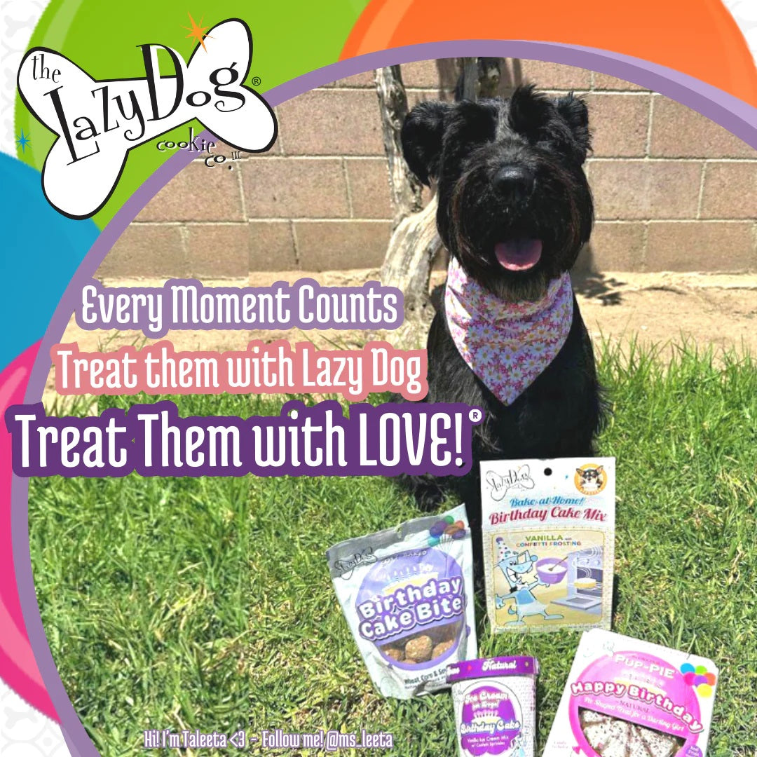 Lazy Dog Birthday Cake Bites Dog Treat 5oz