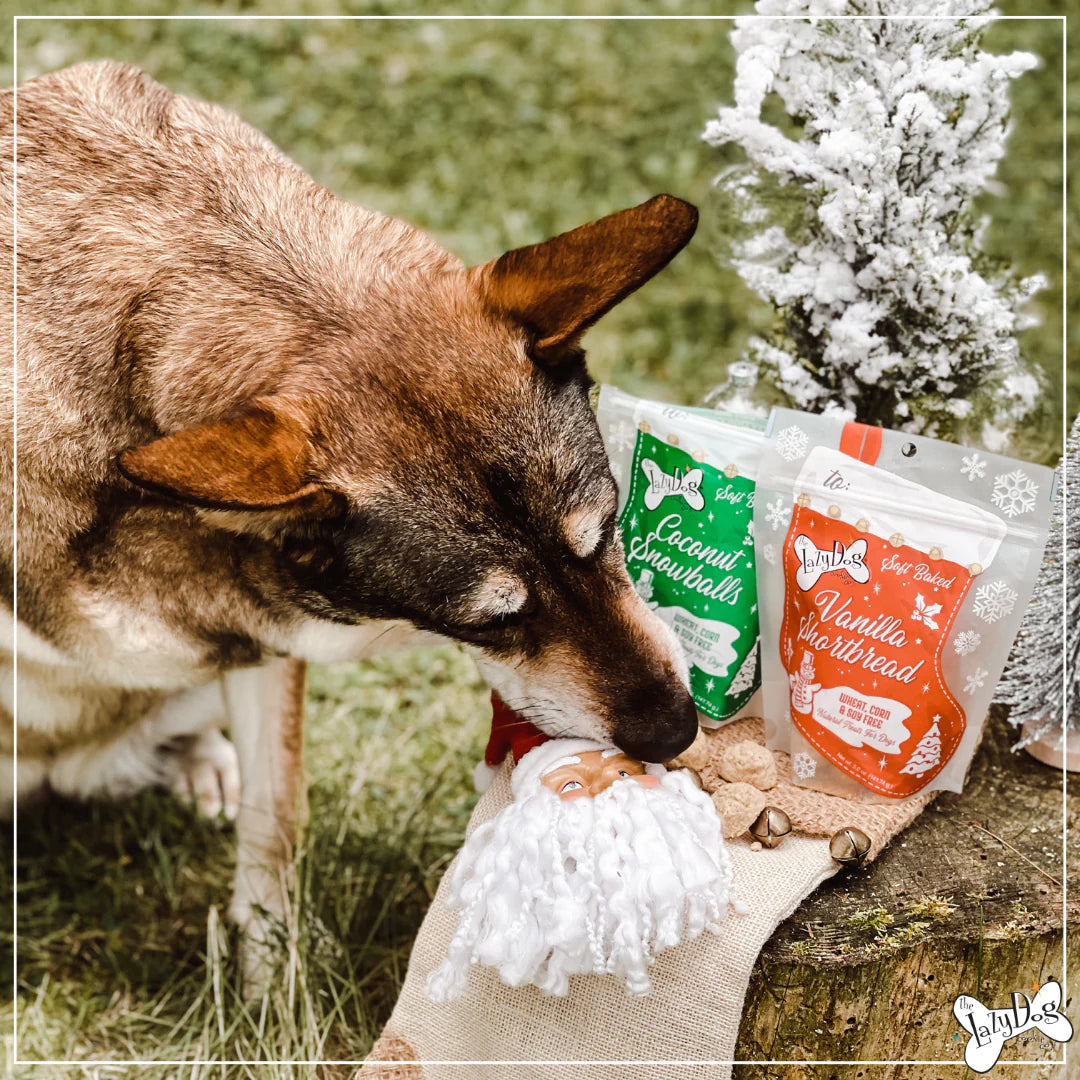 Lazy Dog Coconut Snowballs Stocking Dog Treat