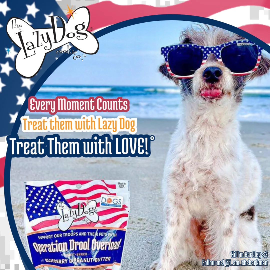 Lazy Dog Operation Drool Overload Dog Treat 5oz