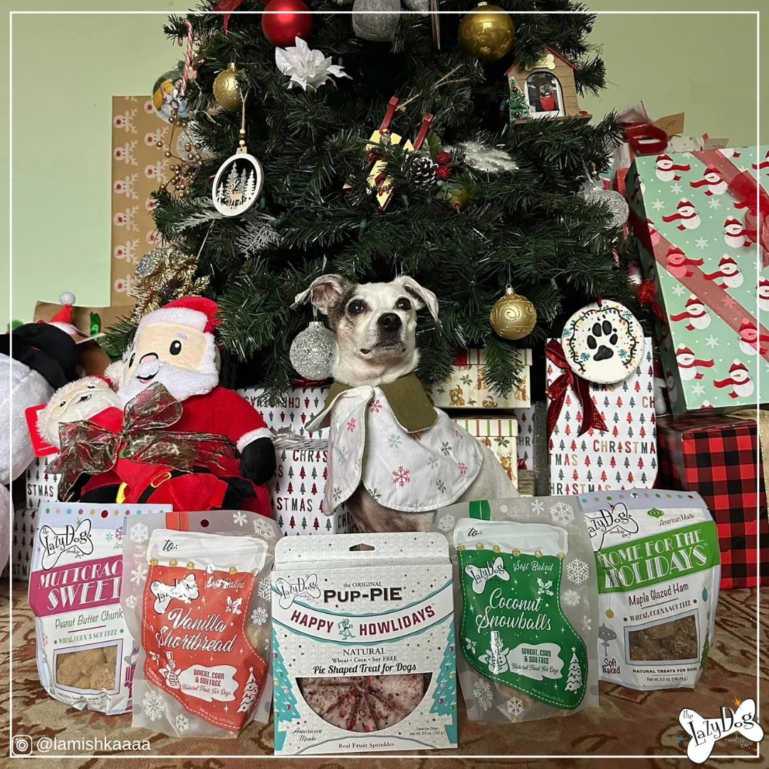Lazy Dog Home For The Holidays Dog Treat