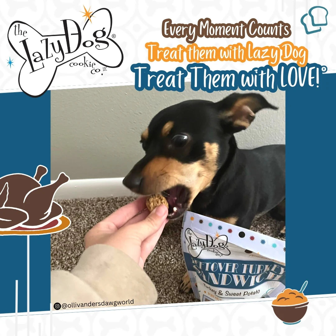 Lazy Dog Leftover Turkey Sandwich Dog Treat