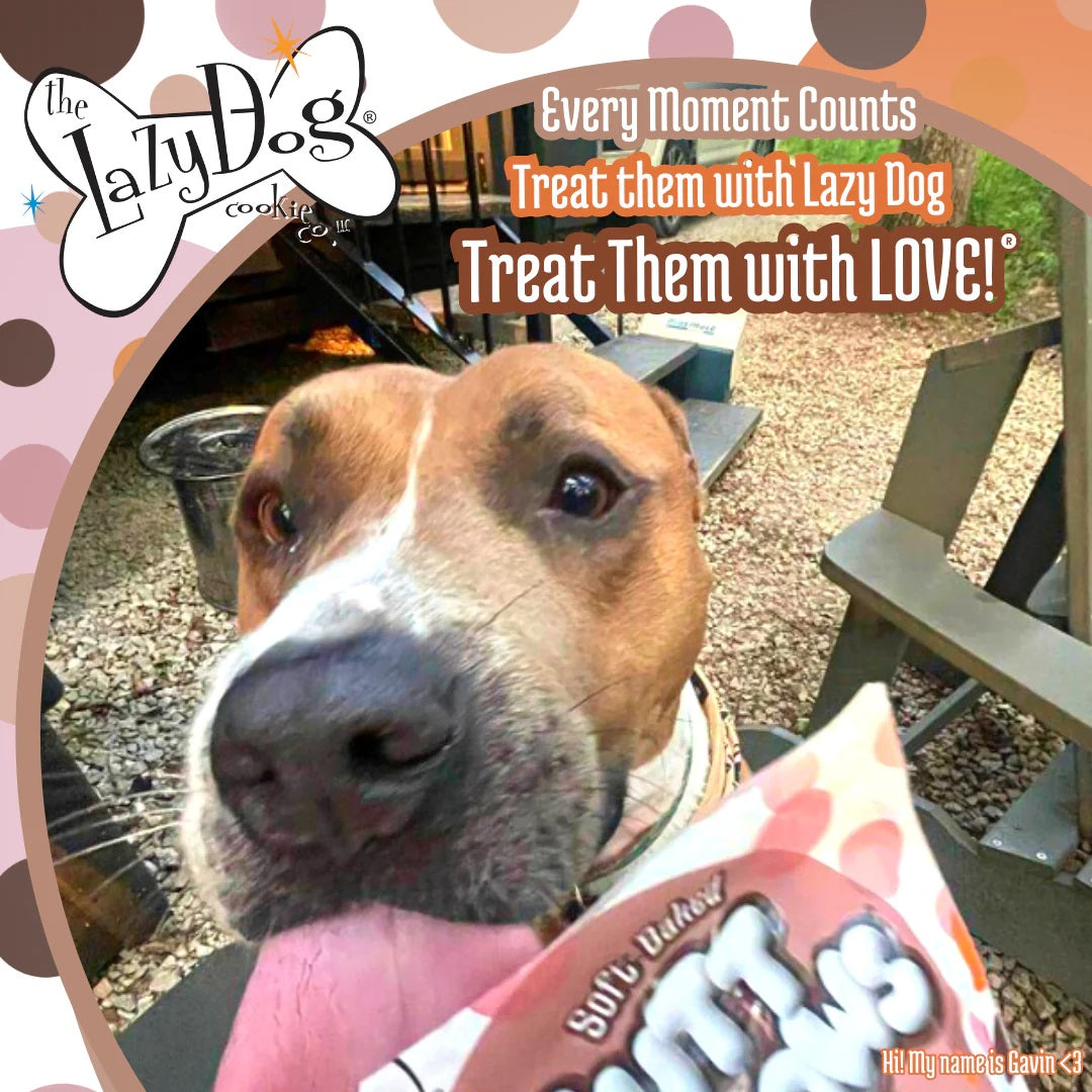 Lazy Dog Mutt Mallows Sweetie S'mores Dog Treat 5oz