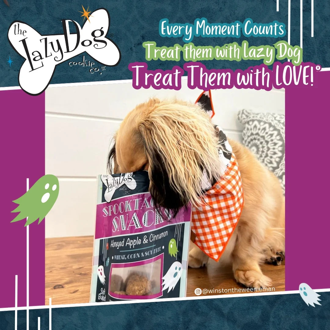 Lazy Dog Spooktacular Snacks Dog Treat