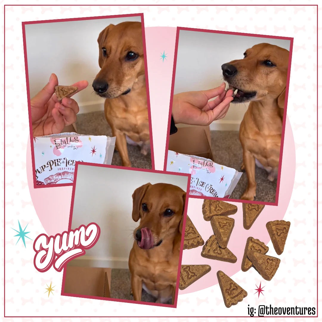 Lazy Dog Pup-PIE & Ice Cream Slices Triple Berry w/ Peanut Butter Dog Treat 5oz