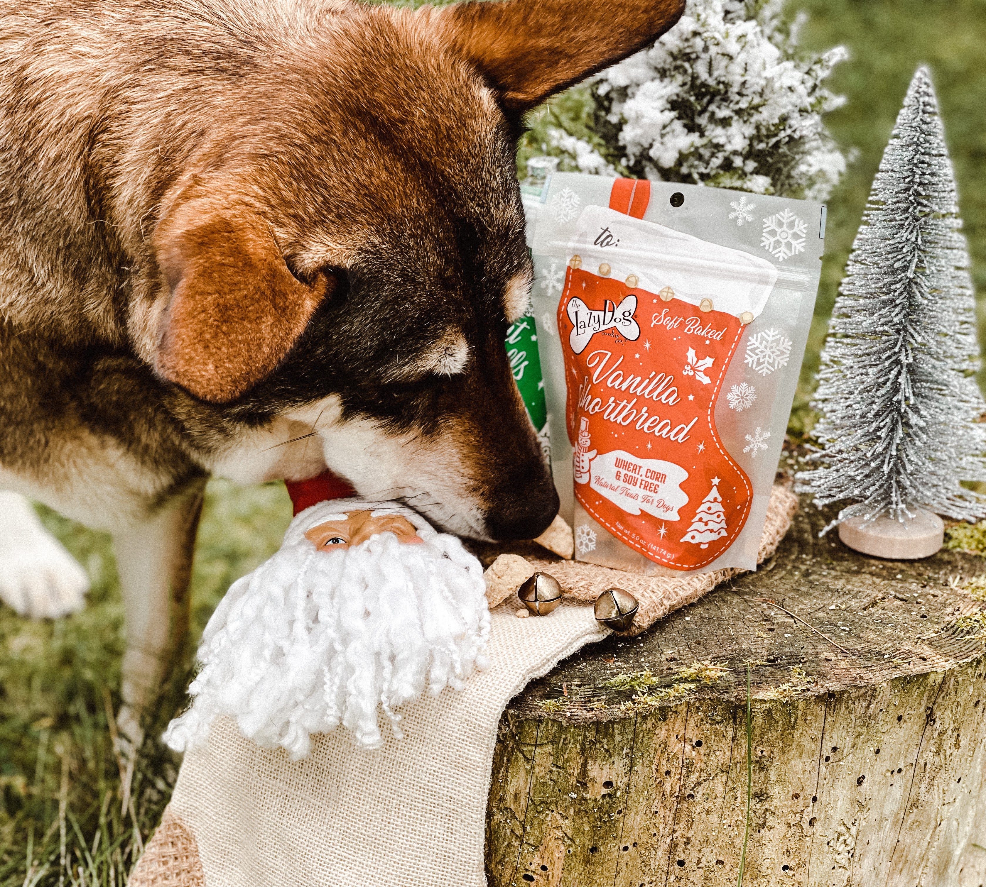 Lazy Dog Vanilla Shortbread Stocking Dog Treat