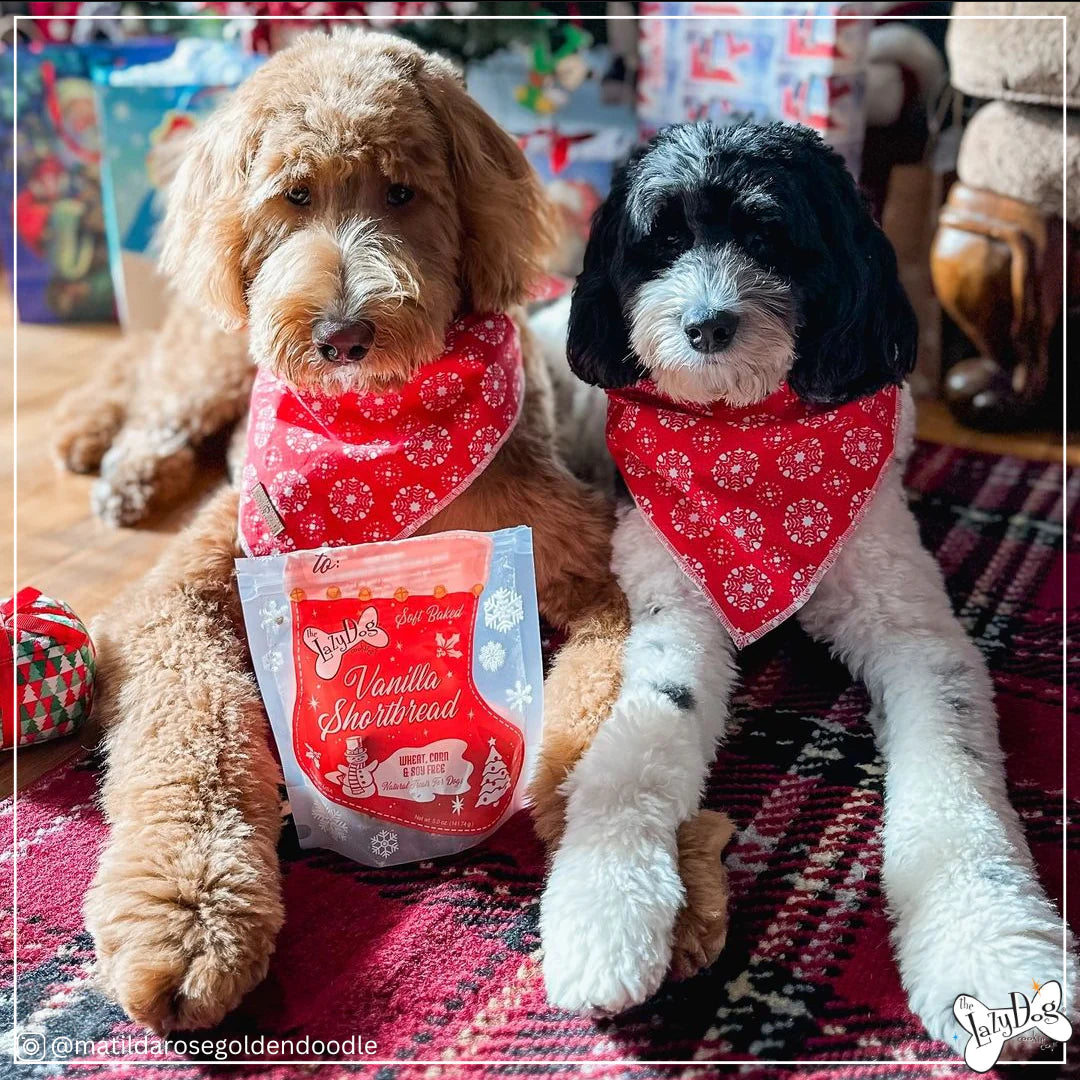 Lazy Dog Vanilla Shortbread Stocking Dog Treat