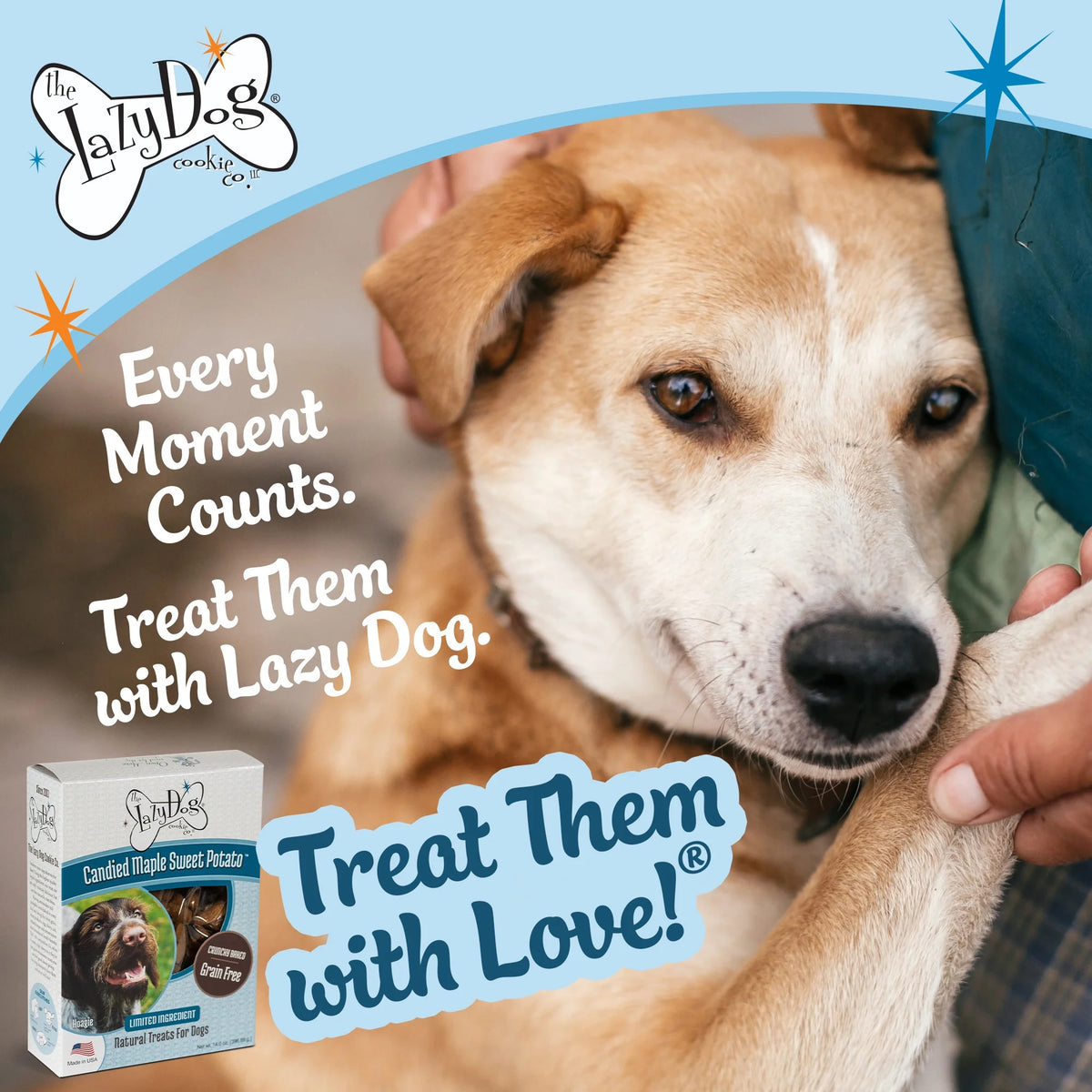 Lazy Dog Boxed Biscuits Candied Maple Sweet Potato GF 14 oz