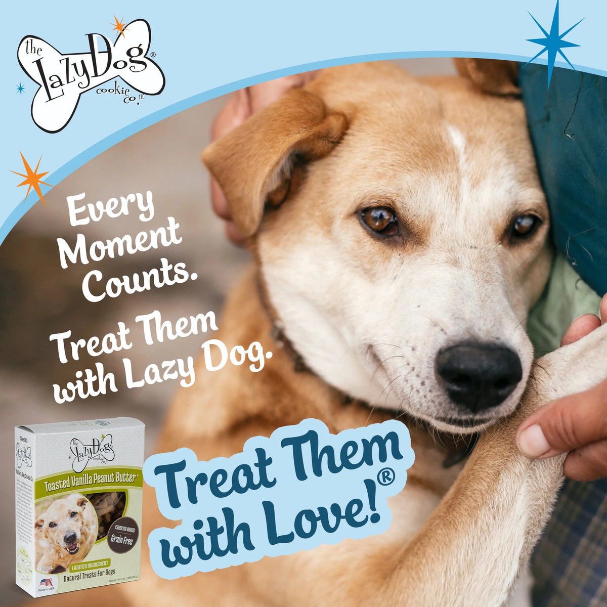 Lazy Dog Boxed Biscuits Toasted Vanilla Peanut Butter GF 14 oz