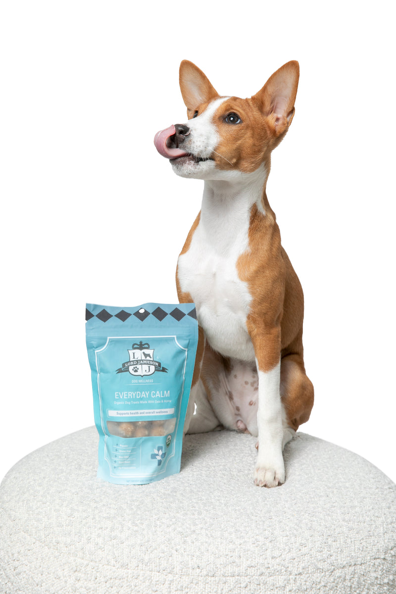 Lord Jameson Everyday Calm Organic Soft & Chewy Dog Treats 6oz