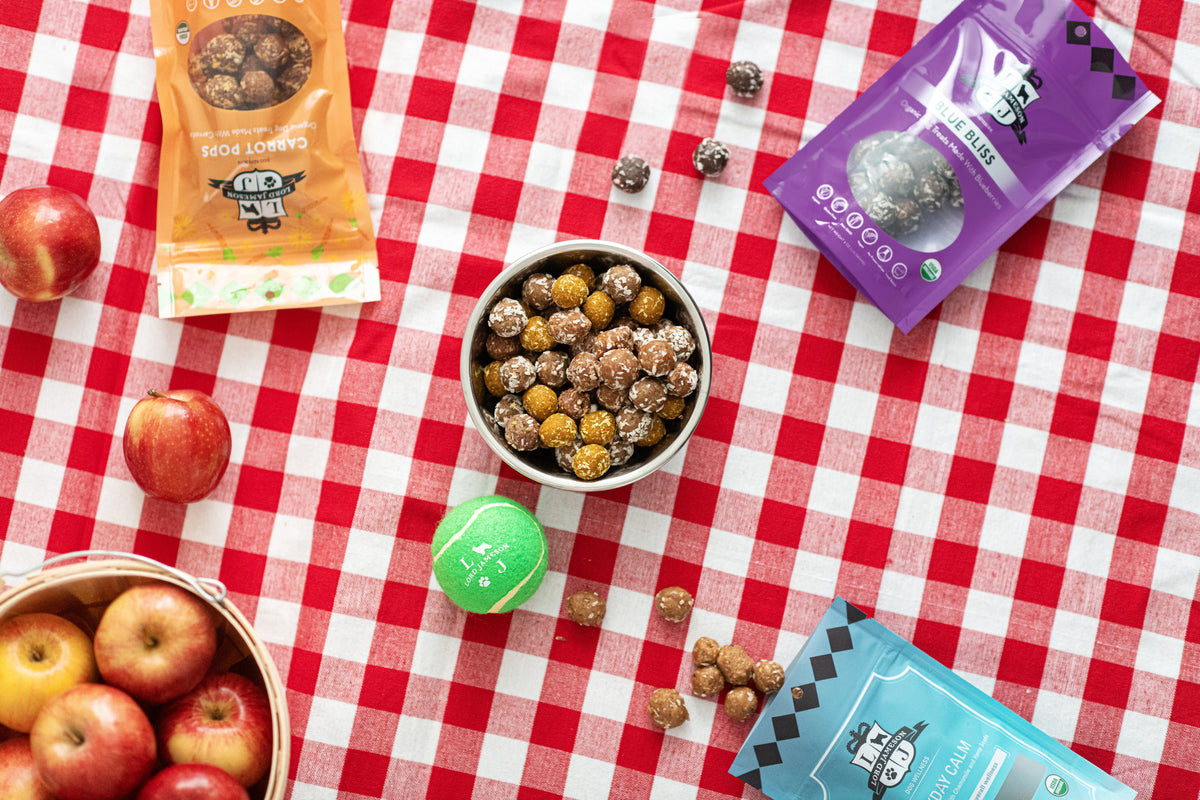 Lord Jameson Everyday Calm Organic Soft & Chewy Dog Treats 6oz