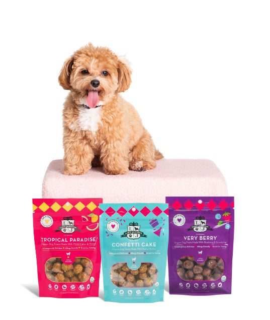 Lord Jameson Confetti Cake Organic Soft & Chewy Dog Treats Small Breed 3oz