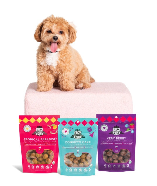 Lord Jameson Confetti Cake Organic Soft & Chewy Dog Treats Small Breed 3oz