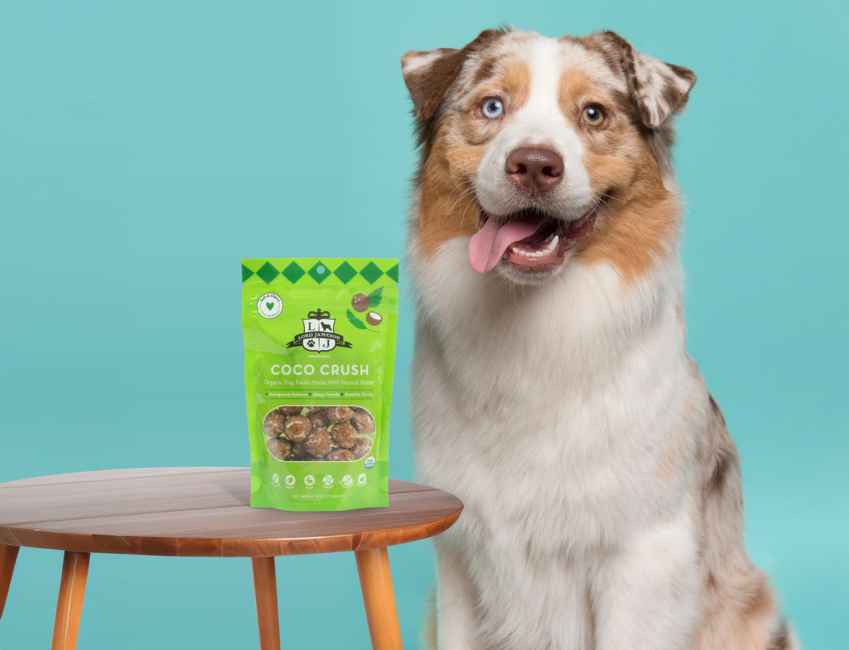 Lord Jameson Coco Crush Organic Soft & Chewy Dog Treats 6oz