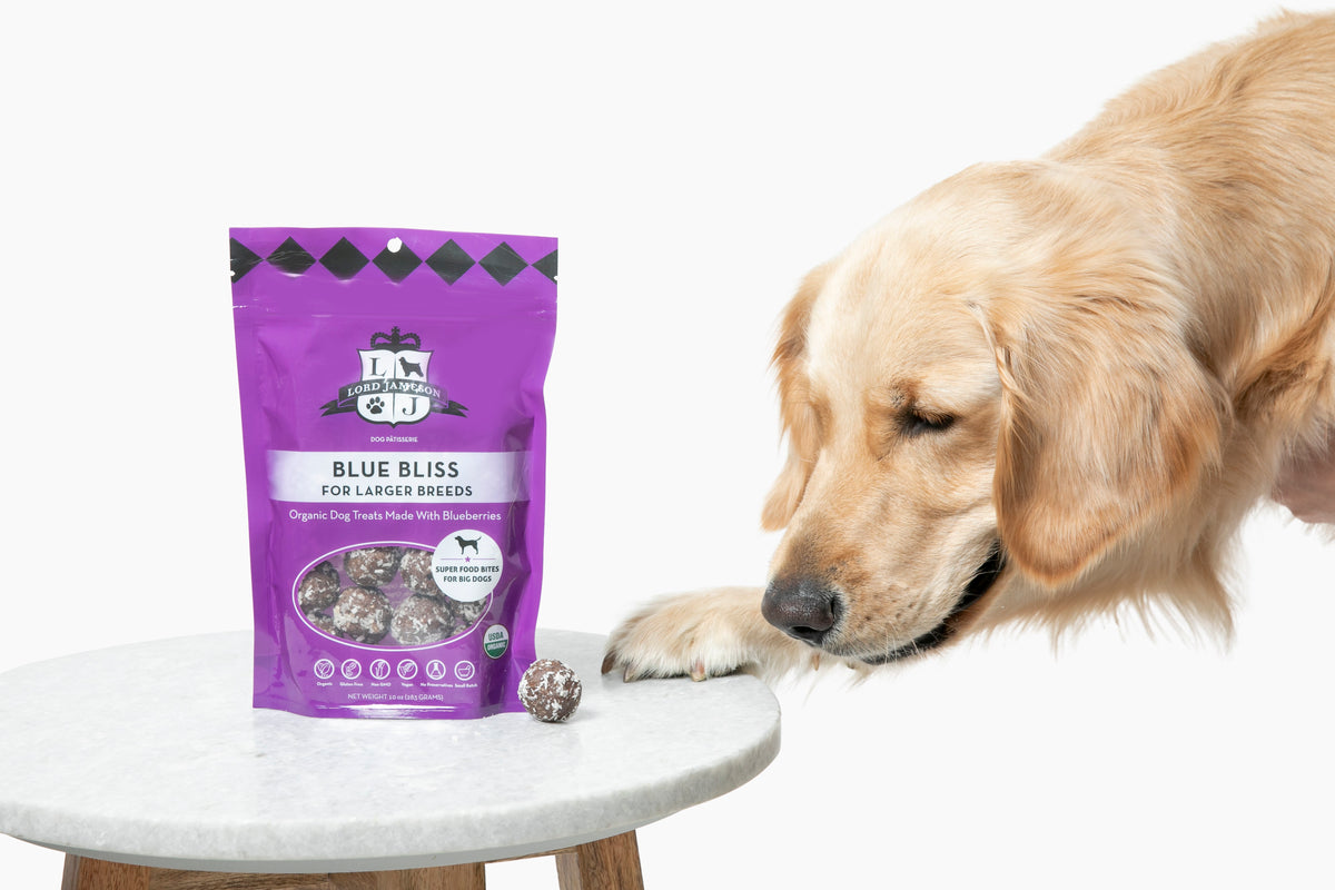 Lord Jameson Blue Bliss Organic Soft & Chewy Dog Treats 6oz