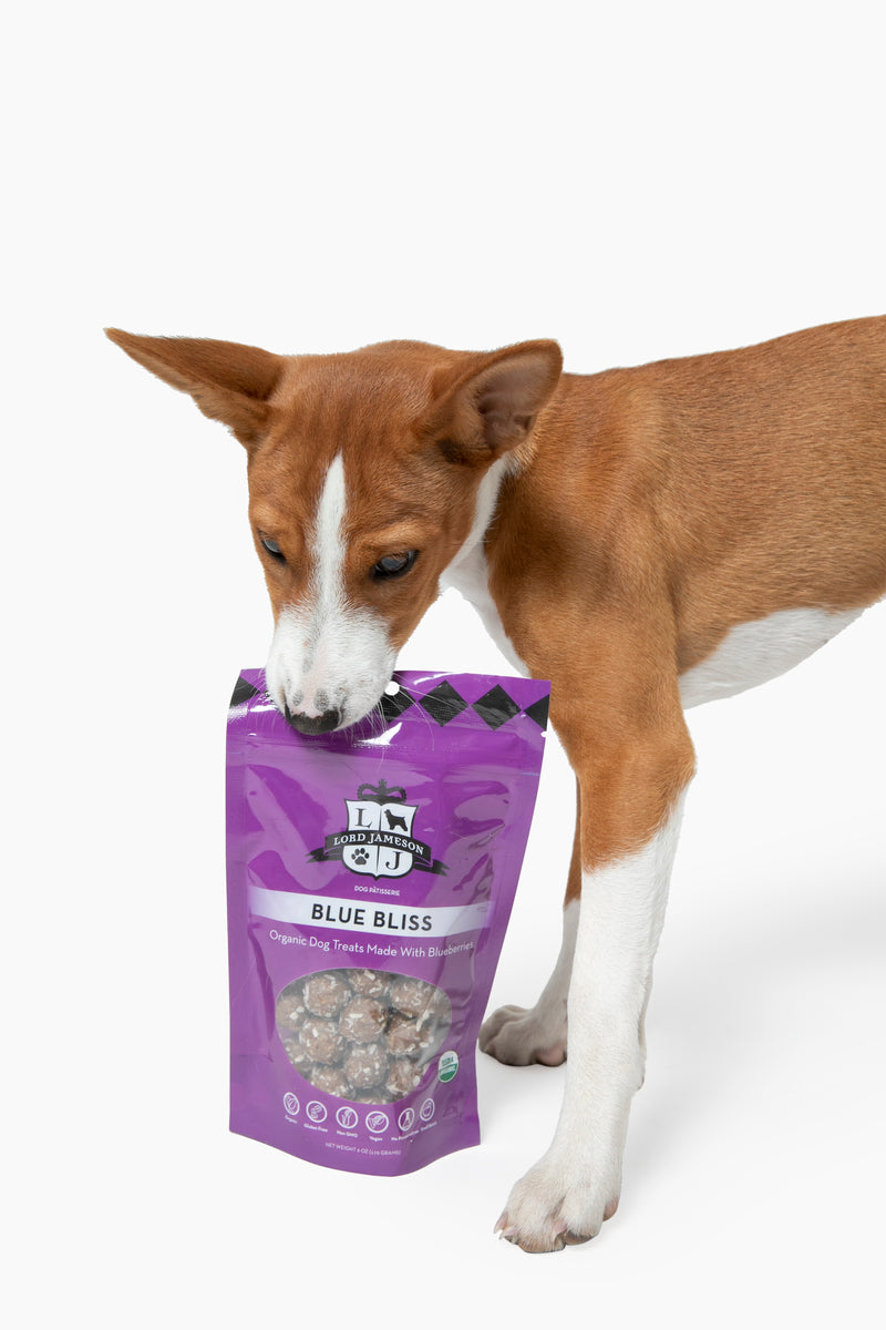 Lord Jameson Blue Bliss Organic Soft & Chewy Dog Treats 6oz