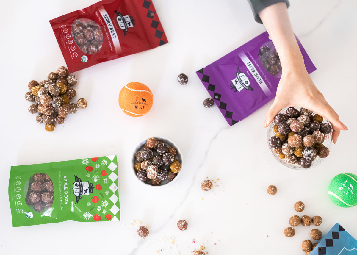 Lord Jameson Berry Best Organic Soft & Chewy Dog Treats 6oz