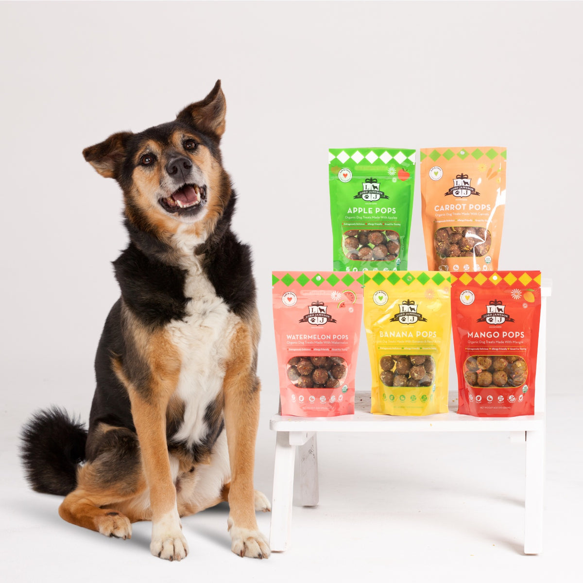 Lord Jameson Apple Pops Organic Soft & Chewy Dog Treats 6oz